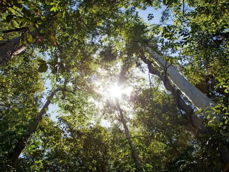 Second view of Homely land listing, L15/42 Cobbs Road, Woombye QLD 4559