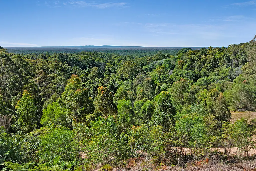 Main view of Homely land listing, 385 Old Tewantin Road, Lake Macdonald QLD 4563