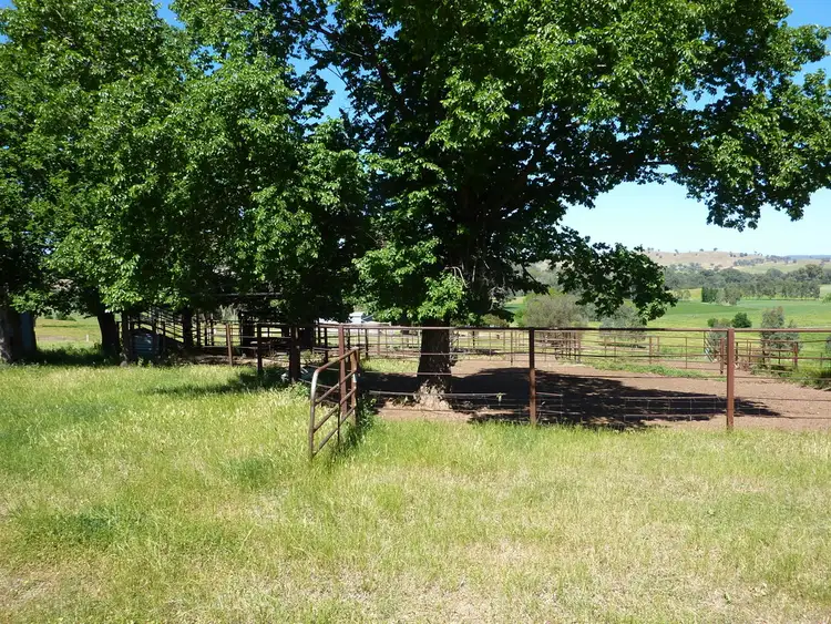 Fifth view of Homely rural property listing, 3000 Westbrook Road Tarcutta via, Wagga Wagga NSW 2650