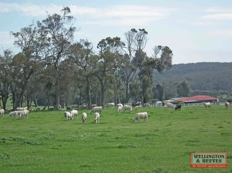 Main view of Homely rural property listing, 507 The Pass Road, Narrikup WA 6326