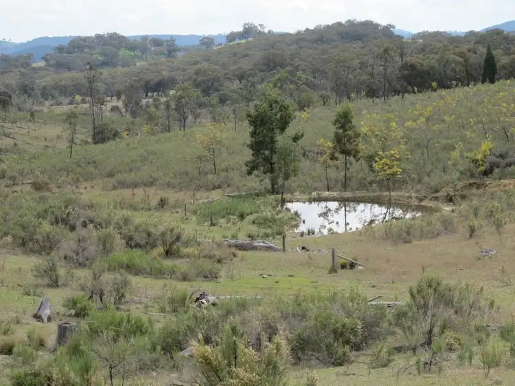 Fourth view of Homely rural property listing, 595 Pyramul Road, Mudgee NSW 2850