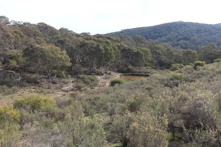 Fifth view of Homely rural property listing, 205 Wylchris Lane, Mount Rankin NSW 2795
