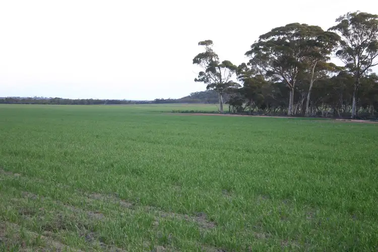 Third view of Homely rural property listing, 2262 Hyden Kondinin Road, Kondinin WA 6367