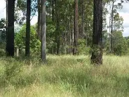 Second view of Homely land listing, Lot 630 Neerdie Rd, Glenwood QLD 4570