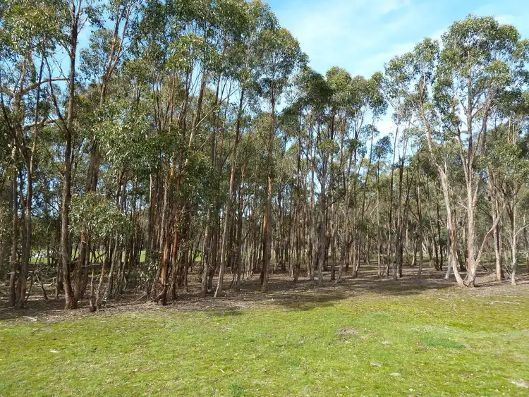 Third view of Homely land listing, 253 Baldwins Road, Trawalla VIC 3373