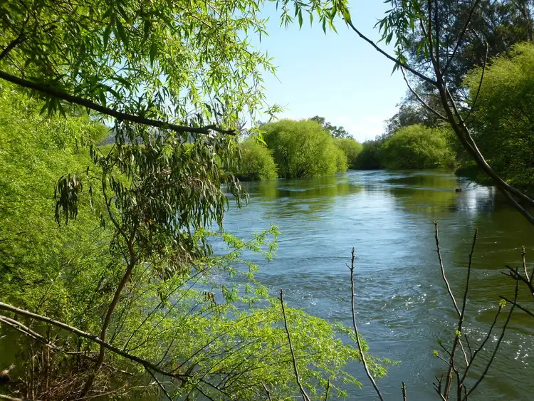 Fourth view of Homely rural property listing, 1169 Omeo Highway, Tallangatta VIC 3700