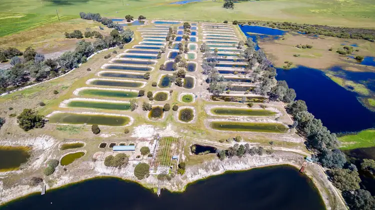 Second view of Homely rural property listing, 899 Elliott Road, Keysbrook WA 6126