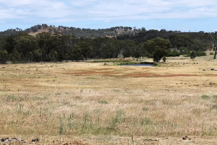 Second view of Homely rural property listing, 1640 Goolma Road, Gulgong NSW 2852