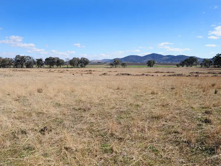 Fifth view of Homely rural property listing, 313 Magpie Lane, Gulgong NSW 2852