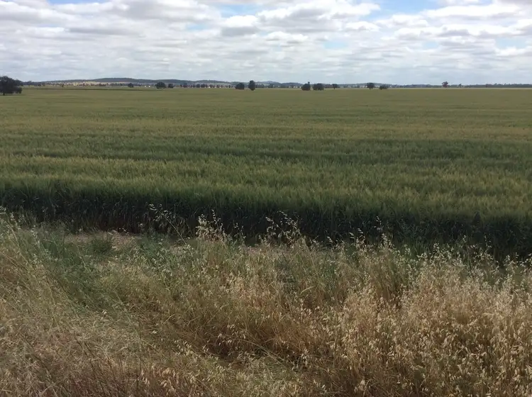 Seventh view of Homely rural property listing, Address available on request