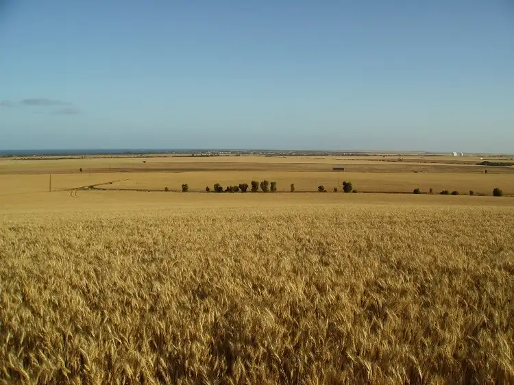 Third view of Homely house listing, 20,21,23,24 Thorpes Road, Tumby Bay SA 5605