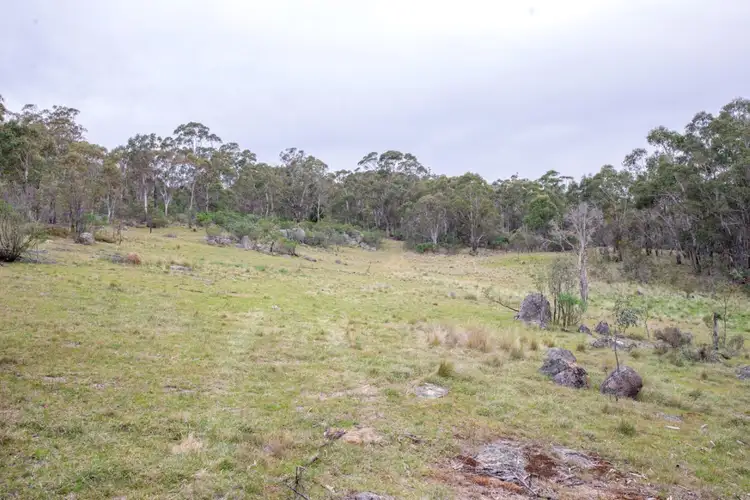 Seventh view of Homely rural property listing, Fronting Countegany Road, Cooma NSW 2630