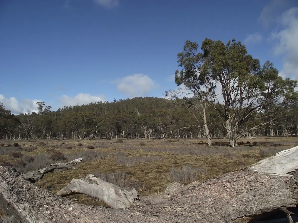 Main view of Homely rural property listing, . Silver Plains Road, Interlaken TAS 7030