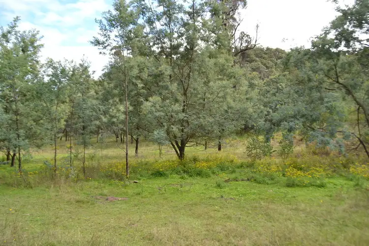 Second view of Homely rural property listing, 6502 Castlereagh Highway, Mudgee NSW 2850