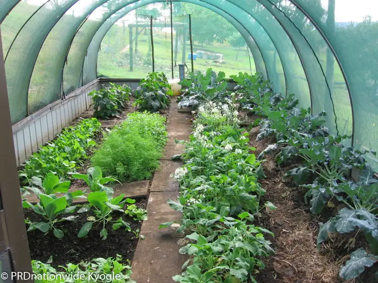 Seventh view of Homely rural property listing, 333 Upper Stratheden Road, Stratheden Via, Kyogle NSW 2474