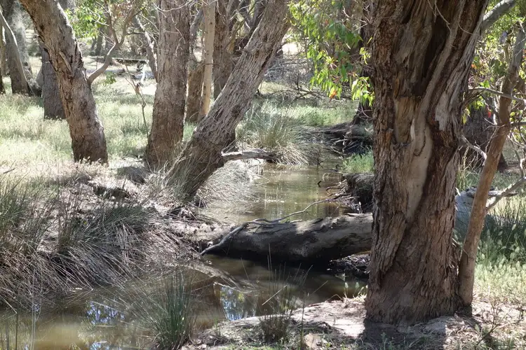 Seventh view of Homely house listing, 60 Palmer Street, Narrogin WA 6312