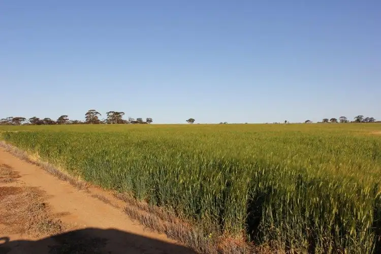 Fourth view of Homely rural property listing, Lot 14030 Chandler-Merredin Road, Goomarin WA 6415