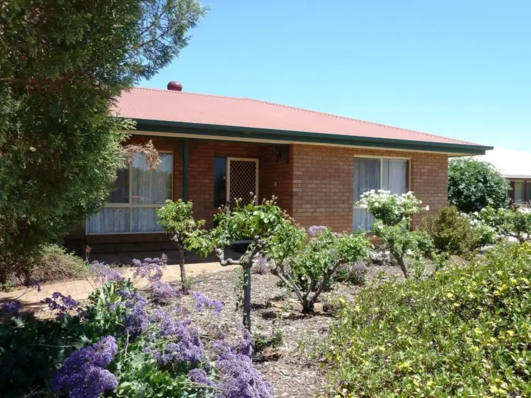 Sixth view of Homely house listing, 20 Hall Crescent, Loxton SA 5333