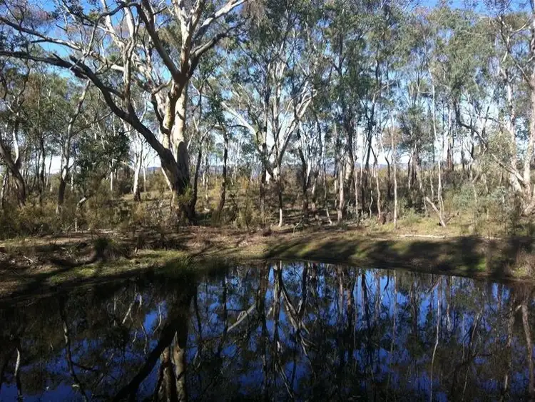 Second view of Homely rural property listing, 79 Cudgegong Road, Rylstone NSW 2849
