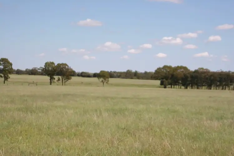 Fifth view of Homely rural property listing, " Karinya ", Hannaford QLD 4406