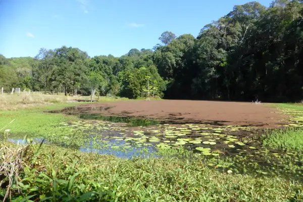 Second view of Homely rural property listing, Address available on request