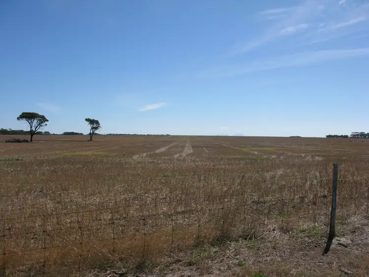 Fourth view of Homely rural property listing, 7131 Bremer Bay Rd, Boxwood Hill WA 6338