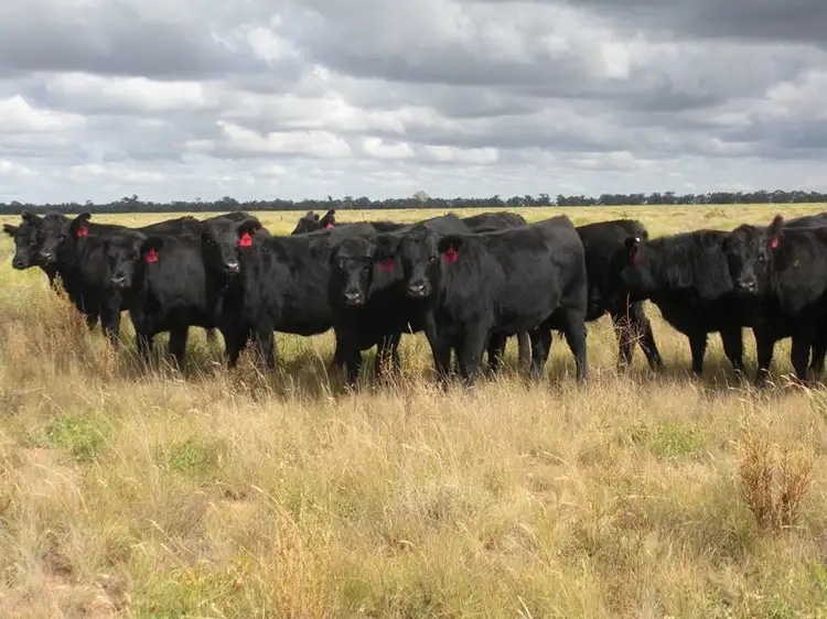 ''Raheen'' Raheen Road, Hay NSW 2711