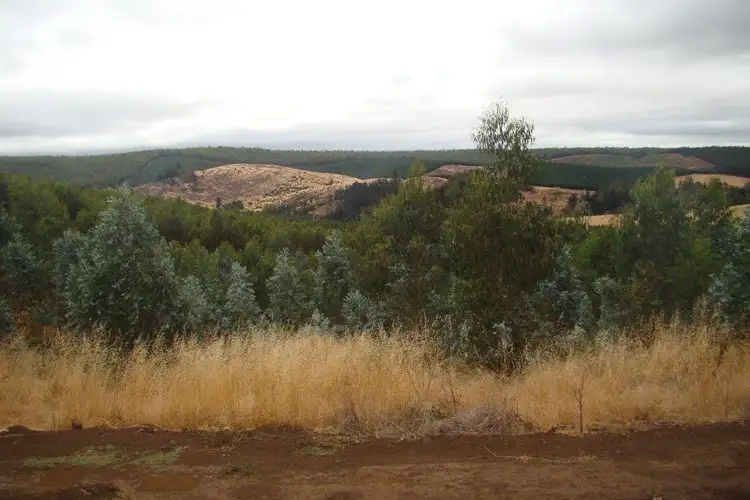 Third view of Homely land listing, 2 Quagamirup Rd, Bridgetown WA 6255