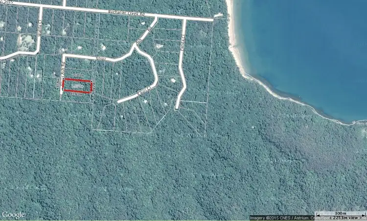 Main view of Homely land listing, 515 Silver Ash Road, Daintree QLD 4873