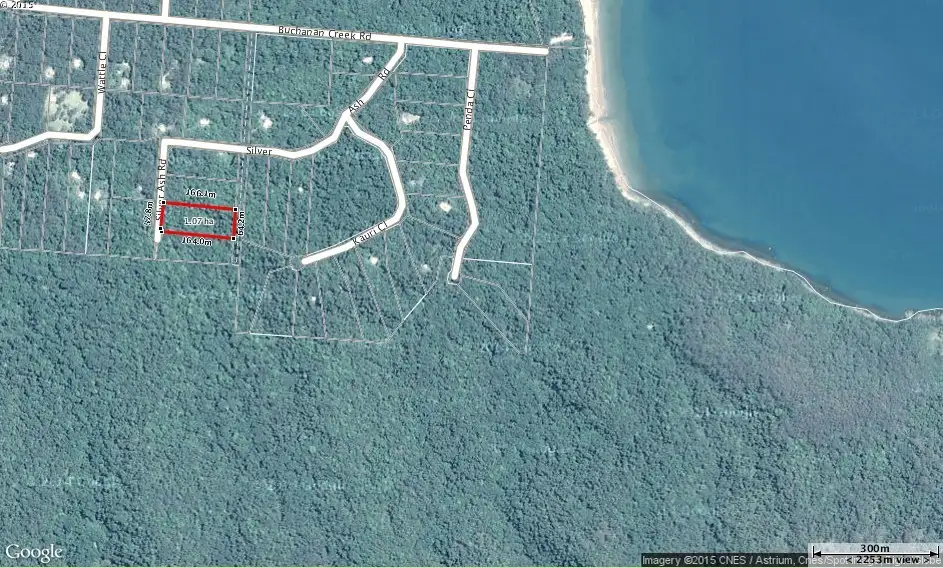 Main view of Homely land listing, 515 Silver Ash Road, Daintree QLD 4873