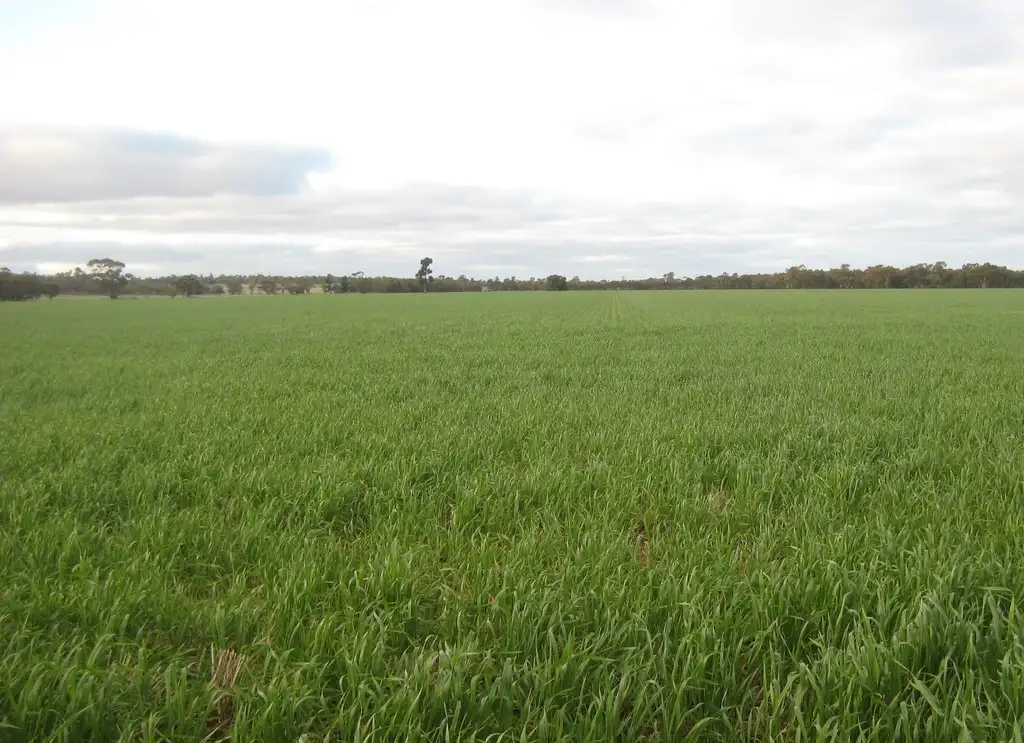 Main view of Homely rural property listing, "Flynns" and "Fork Log", Goolgowi NSW 2652