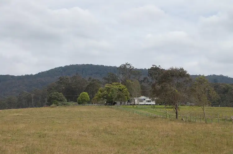Fifth view of Homely rural property listing, 16401 Clarence Way, Bean Creek NSW 2469