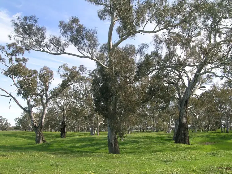 Fourth view of Homely rural property listing, 56 Summer Road, Arcadia South VIC 3631
