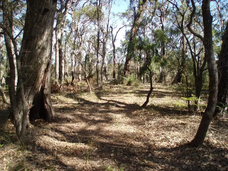 Second view of Homely land listing, 25 Flora Grove, Molloy Island WA 6290