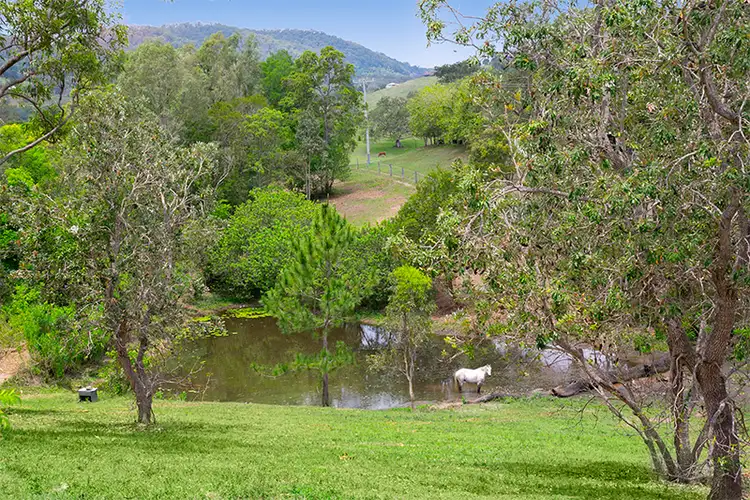 Main view of Homely house listing, 31 Old Mt Samson Road, Mount Samson QLD 4520