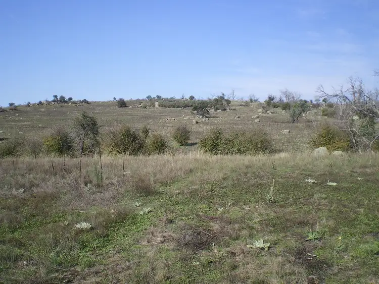 Fifth view of Homely land listing, 314 Bobundara Rd, Berridale NSW 2628