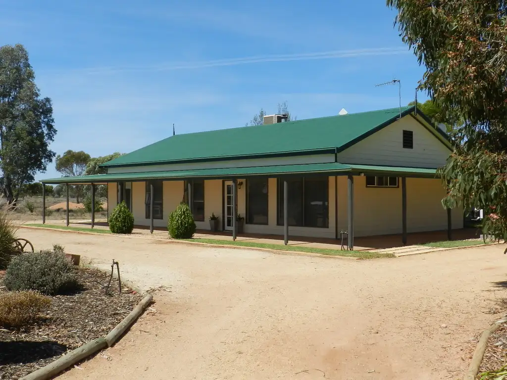 Main view of Homely house listing, 731 Hunt Road, Loveday SA 5345