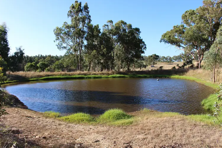 Main view of Homely rural property listing, 516 Burford's Hill Road, Mount Torrens SA 5244