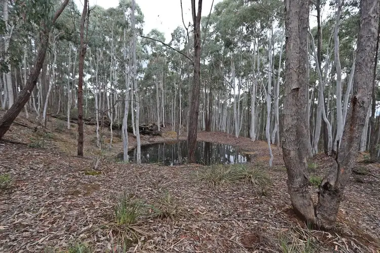 Third view of Homely land listing, 537 Broadleaf Park Road, Rosewood NSW 2652