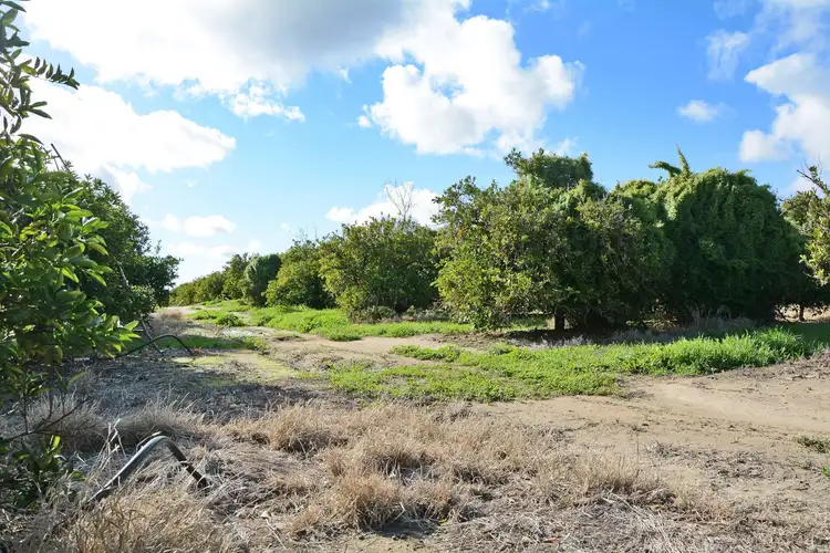 Sixth view of Homely land listing, Lot 6 Channel Road, Curlwaa NSW 2648