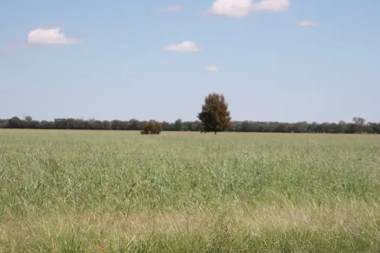 Second view of Homely rural property listing, " Karinya ", Hannaford QLD 4406