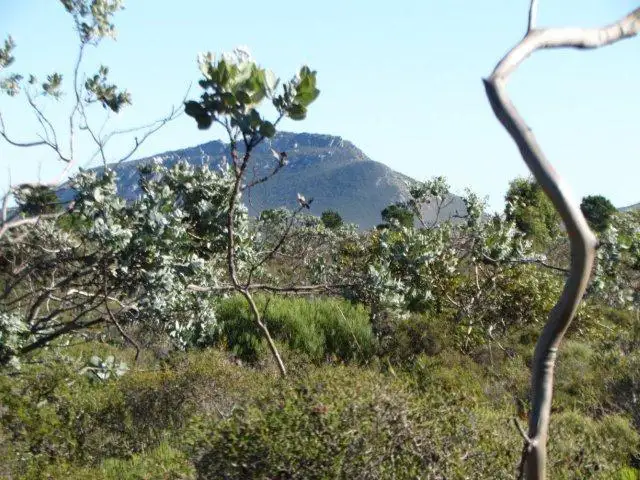 Second view of Homely land listing, 74 Seaview Way, Hopetoun WA 6348