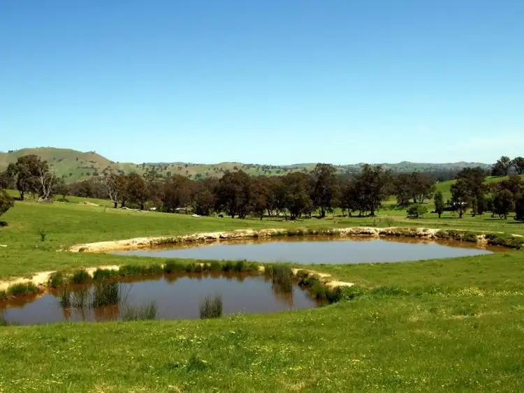 Sixth view of Homely rural property listing, 106 Pig & Whistle Lane, Molesworth VIC 3718