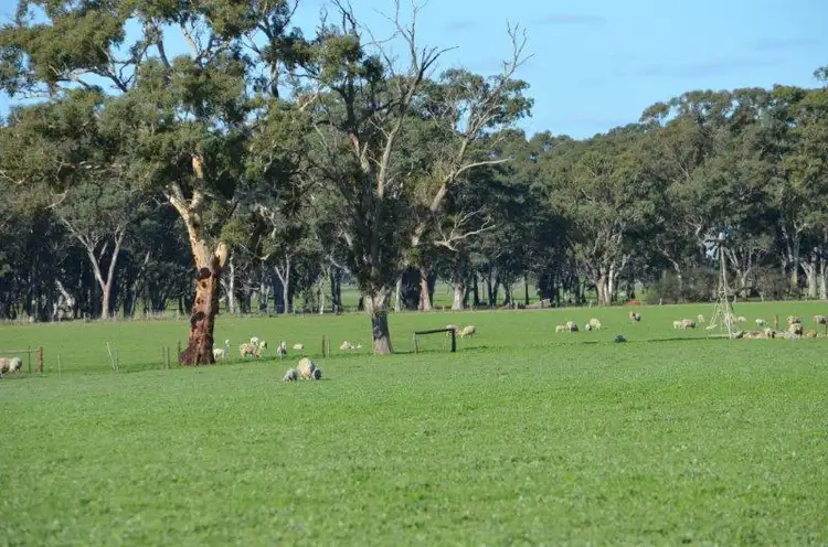 Seventh view of Homely rural property listing, 49 Burkes Road, Naracoorte SA 5271