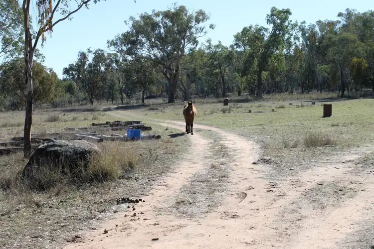 Sixth view of Homely rural property listing, 1218b Wallangra Road, Ashford NSW 2361