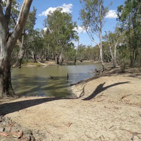 Seventh view of Homely rural property listing, 6480 Barham/Deniliquin Road, Barham NSW 2732