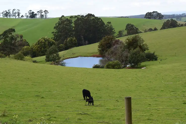 Fifth view of Homely rural property listing, 117 Narracan Connection Road, Narracan VIC 3824