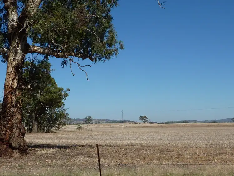 Second view of Homely rural property listing, 300 Hatwells Crossing Road, Wagga Wagga NSW 2650