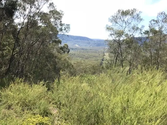 Third view of Homely rural property listing, 550 Bugong Road, Budgong NSW 2577
