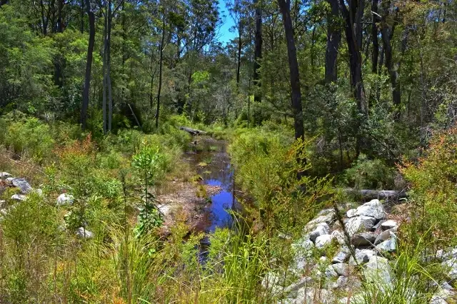 Lot 81 Whipbird Drive, Ashby Heights NSW 2463
